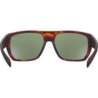 VULTURE, Tortoise Matte-HD Polarized Axis, hi-res image number null